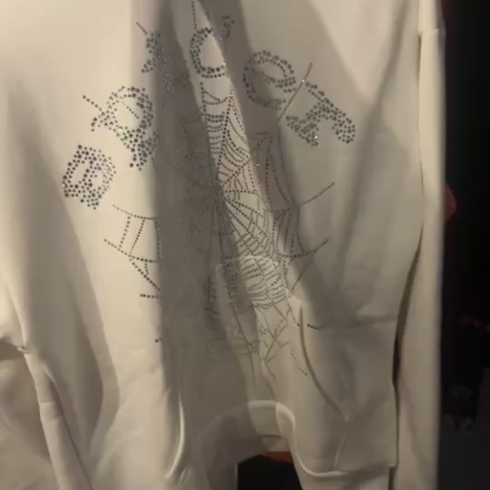 Spider Hoodie